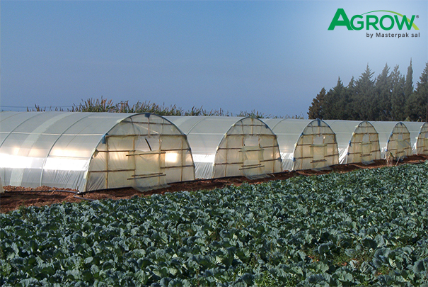 Greenhouse Plastic
