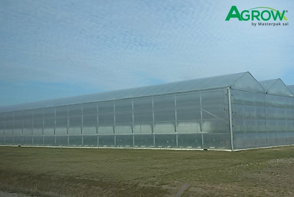 Greenhouse Plastic