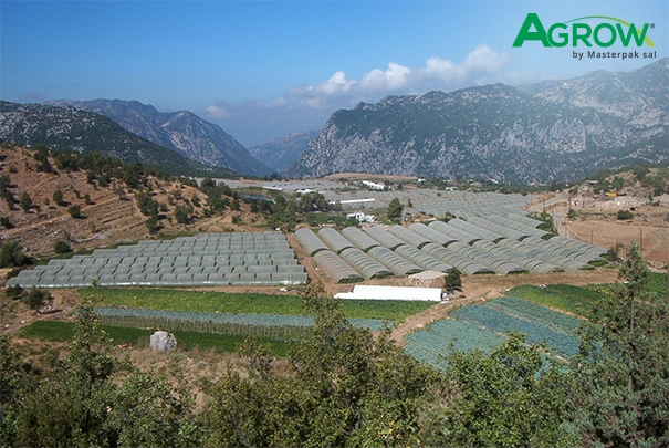Greenhouse Plastic