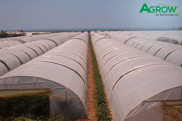Greenhouse Plastic