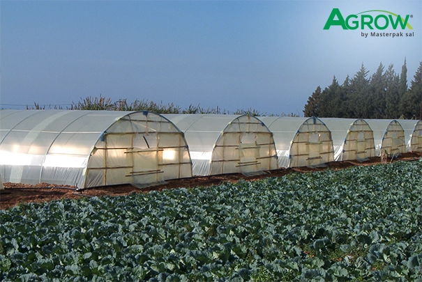 Greenhouse Plastic