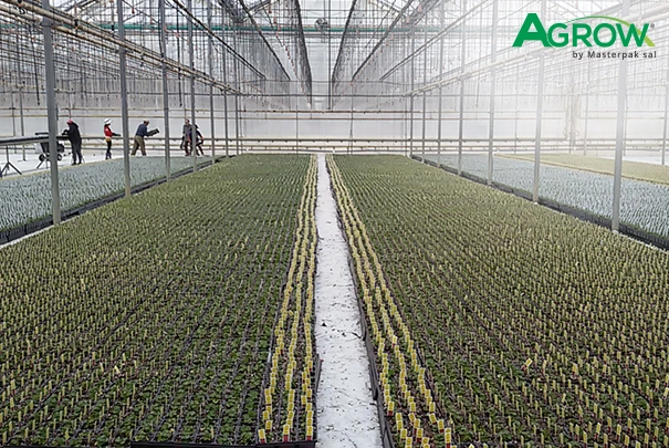 Ground Cover Film