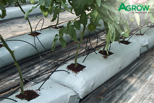 Hydroponic Gully Film