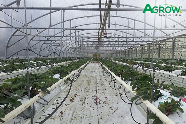 Hydroponic Gully Film