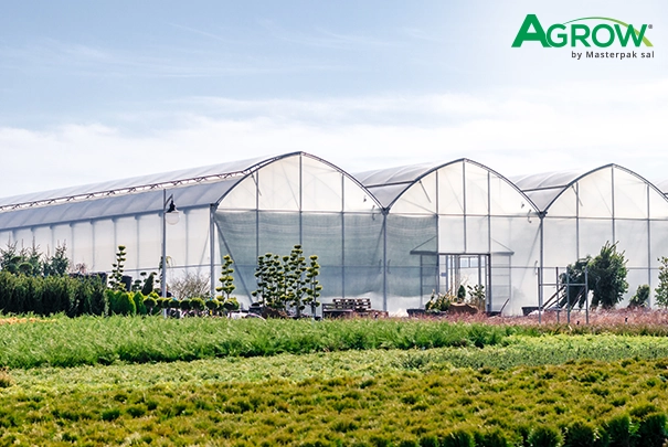 Greenhouse Plastic