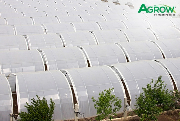 Greenhouse Plastic