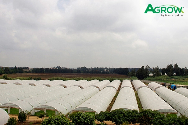 Greenhouse Plastic