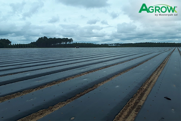 Mulch Film