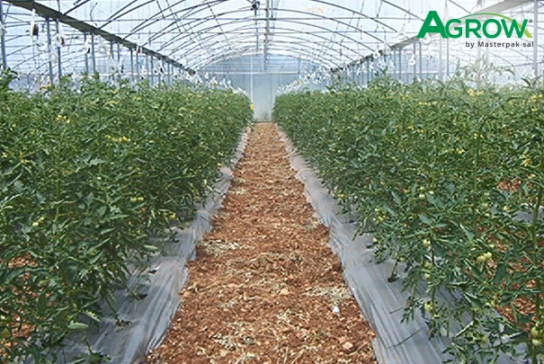 Mulch Film