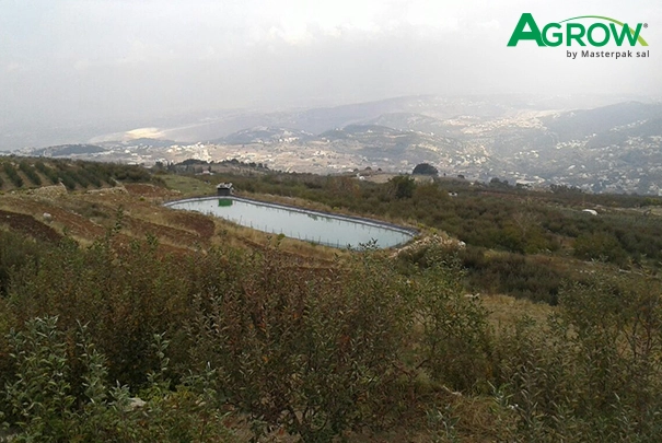 Geomembrane