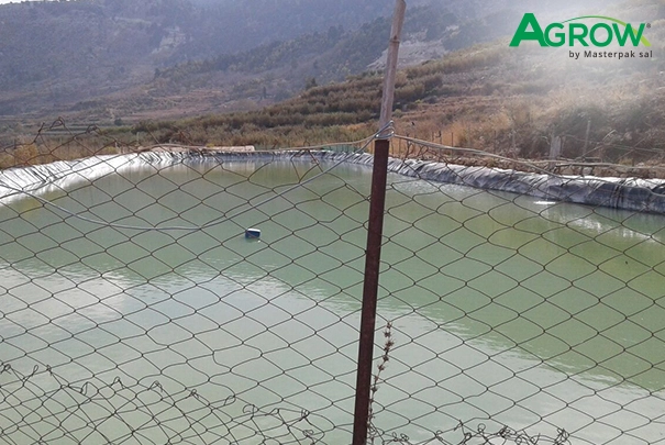 Geomembrane