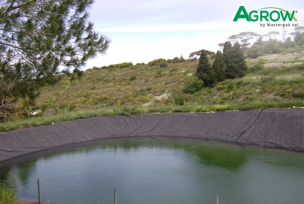 Geomembrane