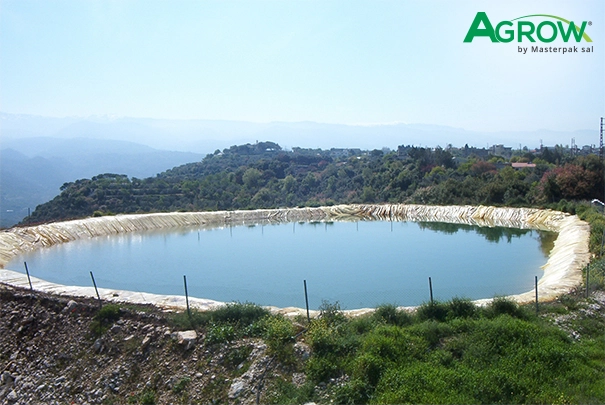 Geomembrane